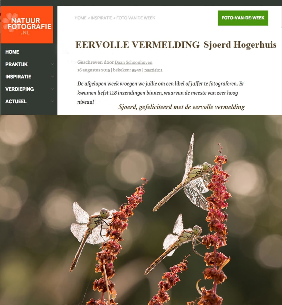 SJOERD HOGERHUIS eervolle vermelding 1500 pix