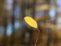 Eef Bos IMG_1811