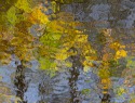Gert-Buter-1