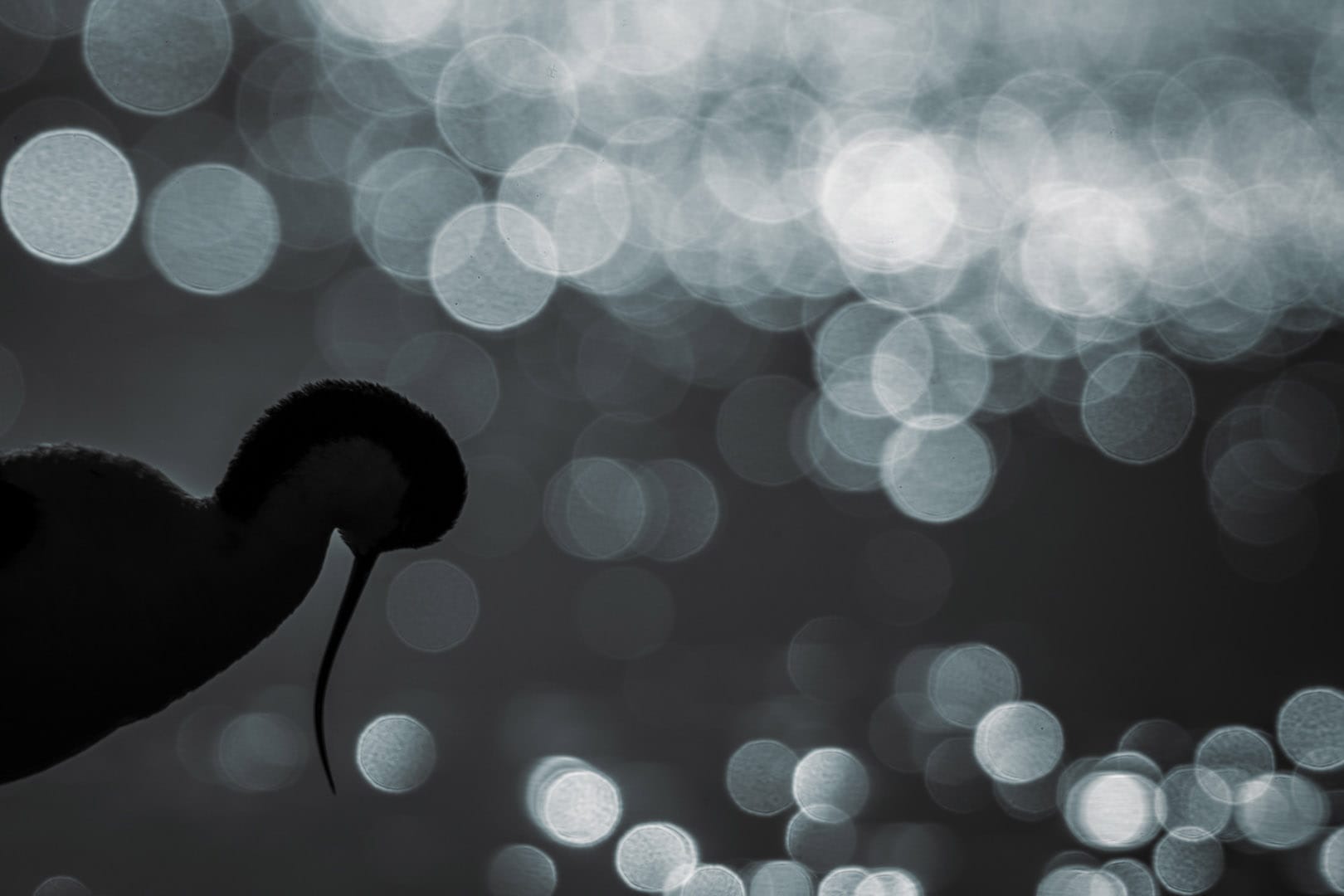 25-06-03-Z91_6002 19.38.48